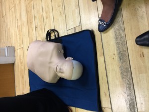 cpr little anne